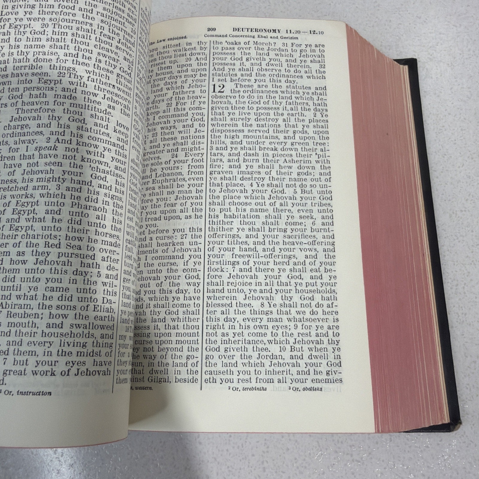 Antique Thomas Nelson & Sons Holy Bible Standard American Edition 1901 Black 7in