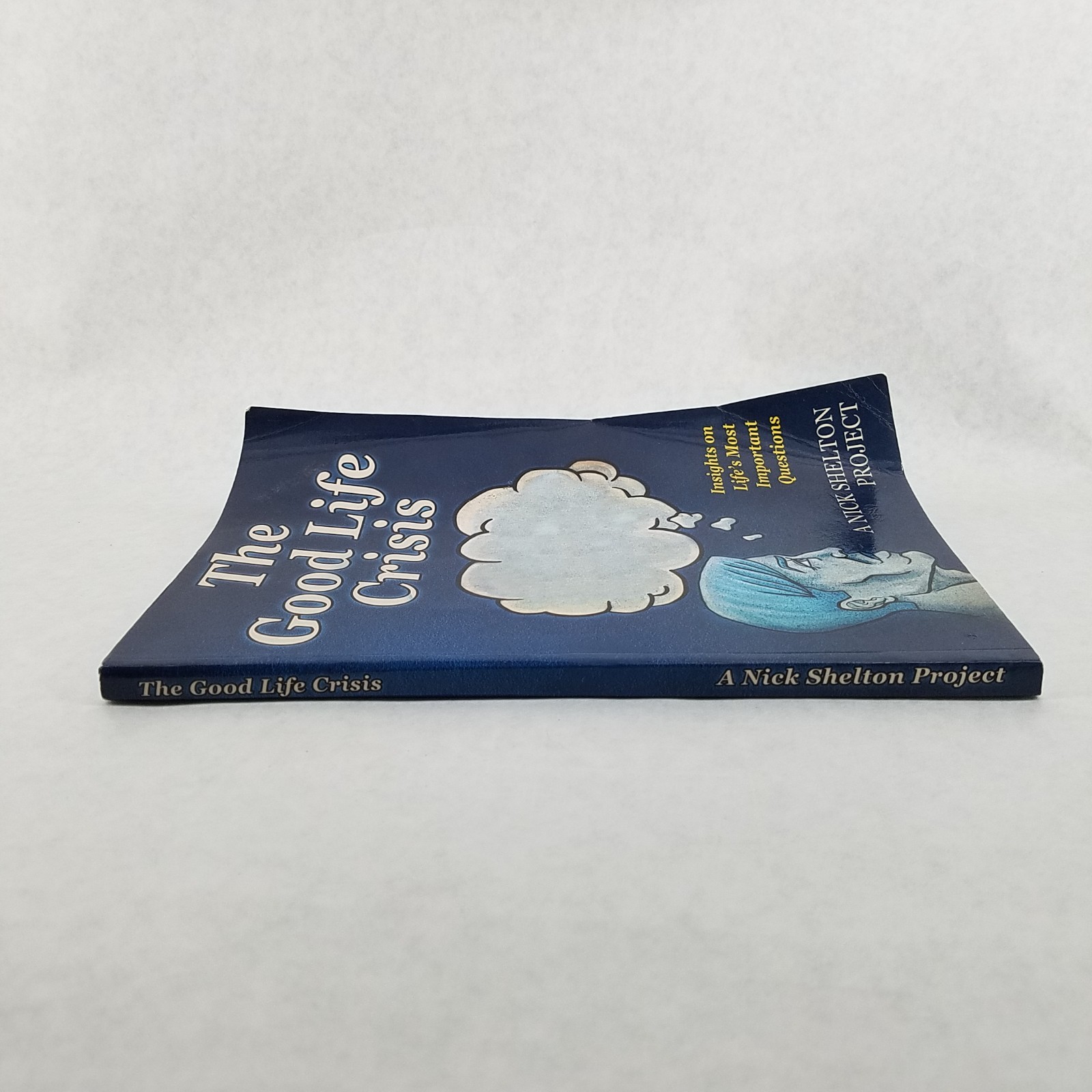 Good Life Crisis – Softcover by Nick Shelton – NO MARKS